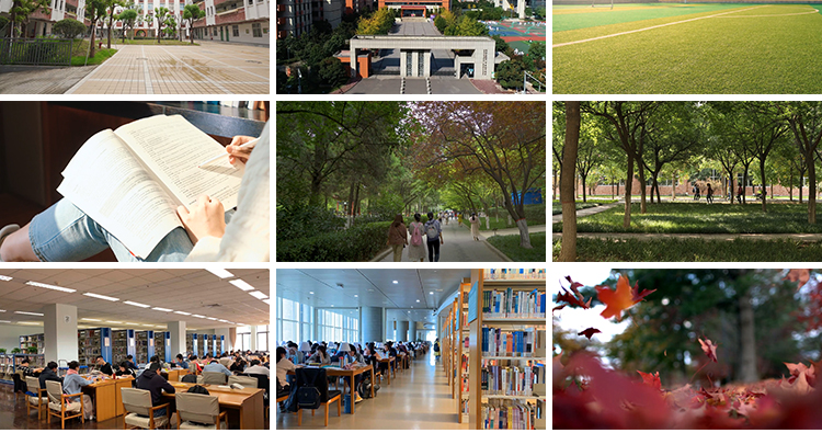 校园青春毕业季图书馆大学校内环境操场教室空镜头实拍短视频素材