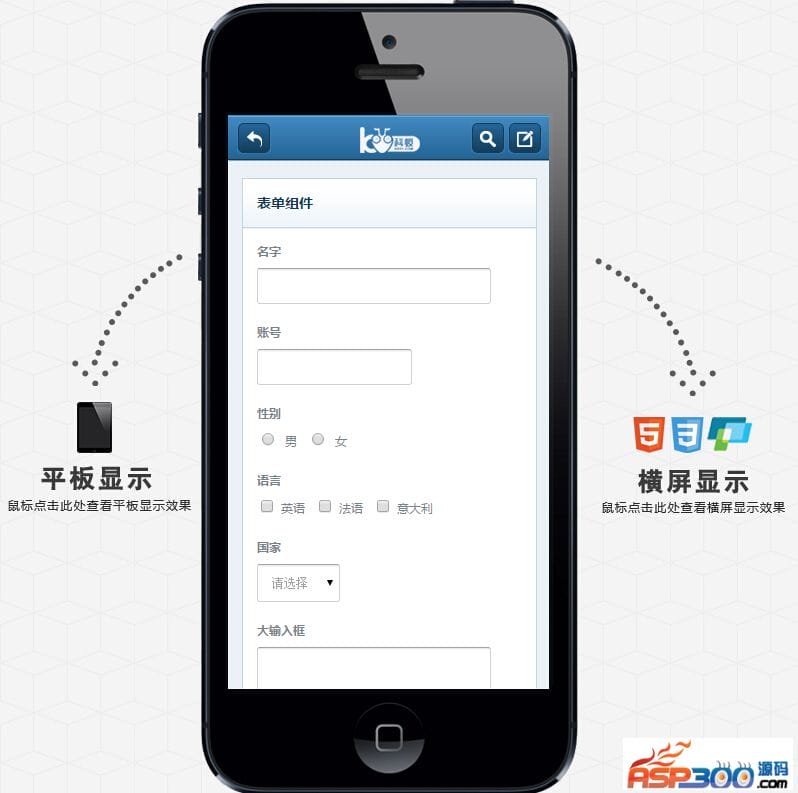 手机网站模板，美观大气webapp风格