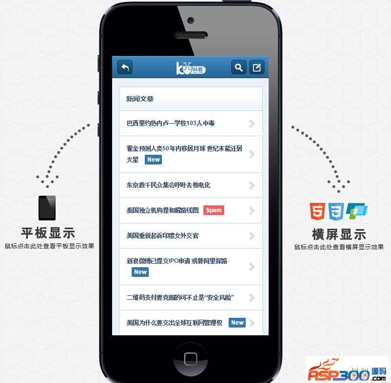 手机网站模板，美观大气webapp风格