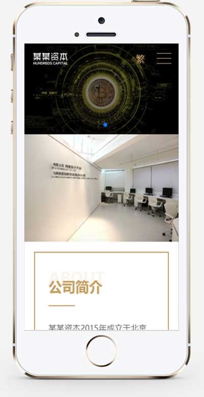 (落地单页)简繁双语响应式HTML5通用金融资本咨询网站单页pbootcms模板自适应手机端