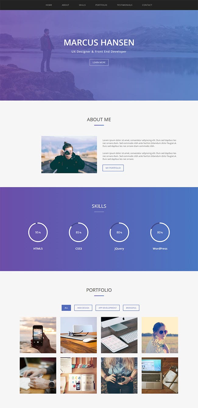 网站开发者求职简历模板