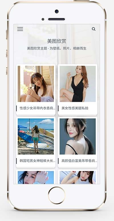 (自适应手机版)简约大气的图片相册类织梦网站模板 图片图集网站源码下载