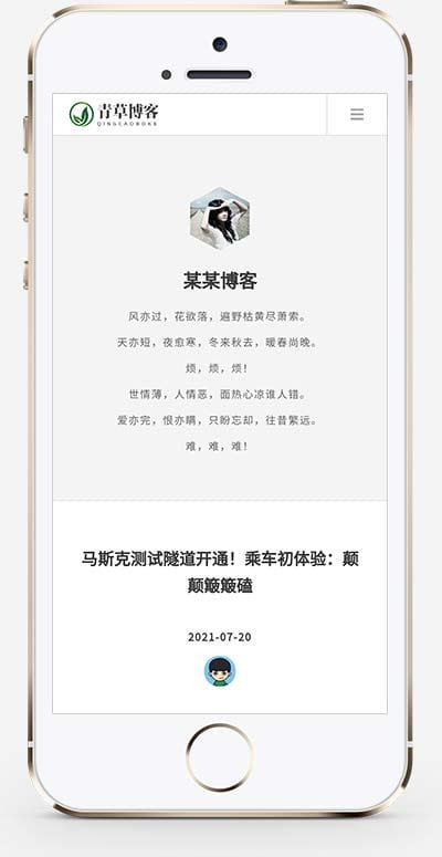 (自适应手机版)响应式极简个人博客自媒体类织梦模板 文章博客类网站模板下载