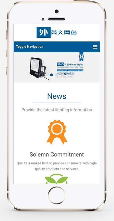 (自适应手机版)响应式外贸灯具网站织梦模板 LED灯具英文外贸网站模板下载
