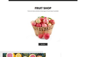HTML5响应式水果商店响应式网站模板