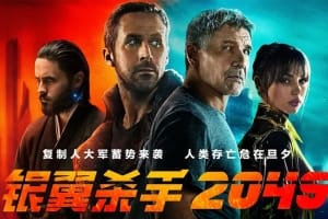 动作电影《银翼杀手2049》恐怖惊悚电影影视解说自媒体素材文案/片源下载