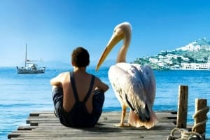 喜剧电影《男孩与鹈鹕》恐怖惊悚电影影视解说自媒体素材文案/片源下载