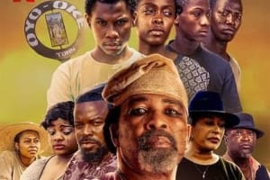 惊悚电影《钻石惹的祸》恐怖惊悚电影影视解说自媒体素材文案/片源下载