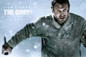 动作电影《人狼大战》恐怖惊悚电影影视解说自媒体素材文案/片源下载