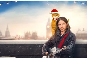 喜剧电影《流浪猫鲍勃2：鲍勃的礼物》恐怖惊悚电影影视解说自媒体素材文案/片源下载