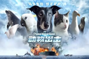 科幻电影《动物出击》恐怖惊悚电影影视解说自媒体素材文案/片源下载