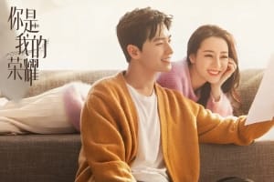 电视剧《你是我的荣耀》32集电视剧恐怖惊悚电影影视解说自媒体素材文案/片源下载（完结）