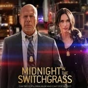 犯罪电影《午夜柳枝》恐怖惊悚电影影视解说自媒体素材文案/片源下载