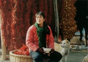 剧情电影《秋菊打官司》恐怖惊悚电影影视解说自媒体素材文案/片源下载