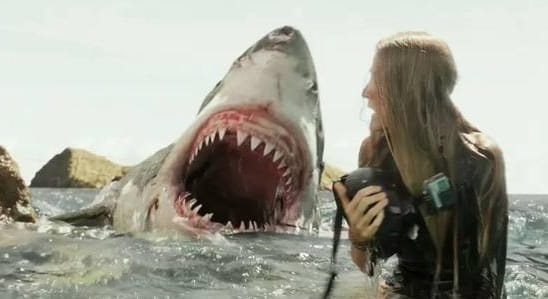 美国惊悚片《鲨滩》恐怖惊悚电影影视解说自媒体素材文案/片源下载