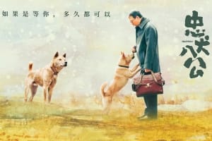 剧情电影《忠犬八公》恐怖惊悚电影影视解说自媒体素材文案/片源下载