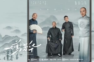 电视剧《一剪芳华》40集电视剧恐怖惊悚电影影视解说自媒体素材文案/片源下载