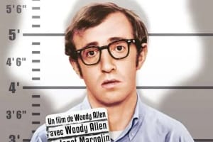 喜剧电影《傻瓜入狱记》恐怖惊悚电影影视解说自媒体素材文案/片源下载