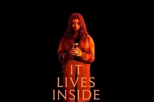 恐怖电影《深居在内》恐怖惊悚电影影视解说自媒体素材文案/片源下载