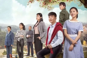 电视剧《远方的山楂树》48集剧电视剧恐怖惊悚电影影视解说自媒体素材文案/片源下载