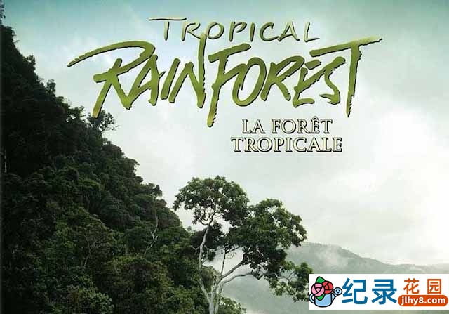 IMAX自然生态纪录片《热带雨林 Tropical Rainforest》全1集中字 TS/蓝光高清纪录片资源百度云盘下载