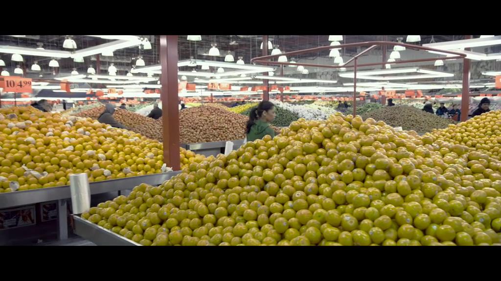 水果猎人 The Fruit Hunters