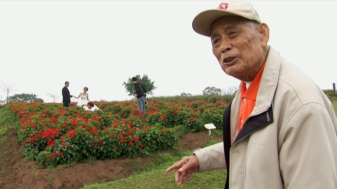 不老骑士：欧兜迈环台日记 不老騎士：歐兜邁環台日記