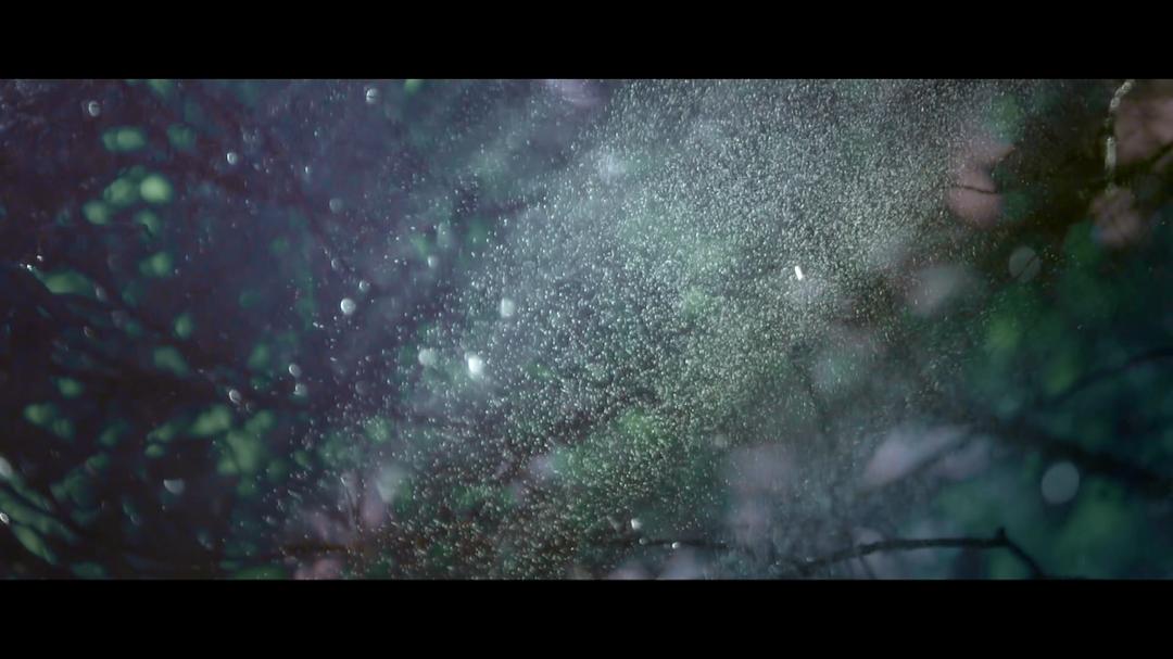 他们在岛屿写作：姹紫嫣红开遍 他們在島嶼寫作：奼紫嫣紅開遍