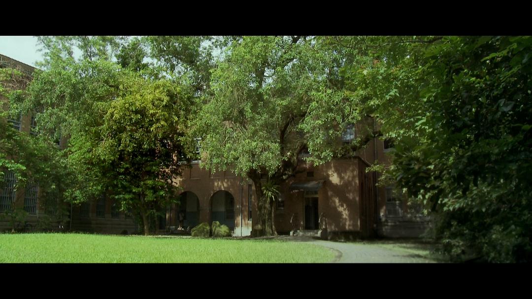 他们在岛屿写作：姹紫嫣红开遍 他們在島嶼寫作：奼紫嫣紅開遍