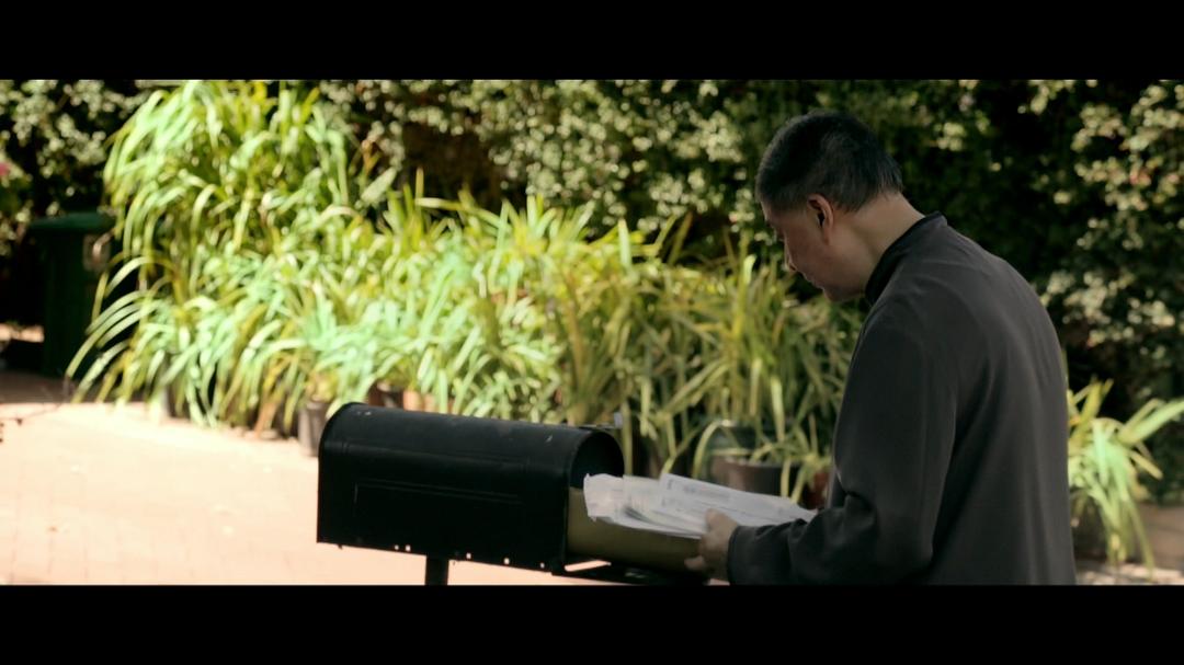 他们在岛屿写作：姹紫嫣红开遍 他們在島嶼寫作：奼紫嫣紅開遍