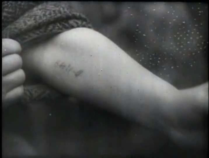 上海犹太人 Shanghai Ghetto