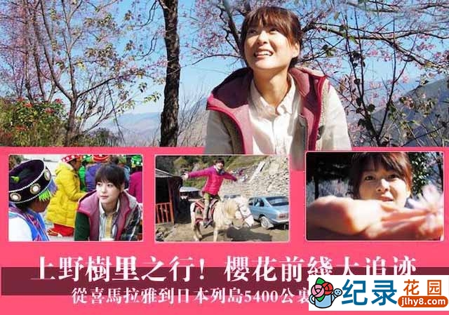 NHK樱花起源纪录片《樱花前线大追迹》全1集中字 720P/1080i高清纪录片资源百度云盘下载