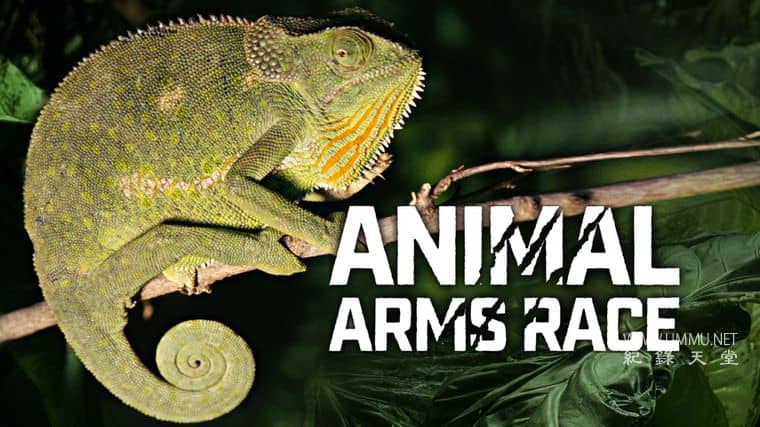 动物军备竞赛 Animal Arms Race