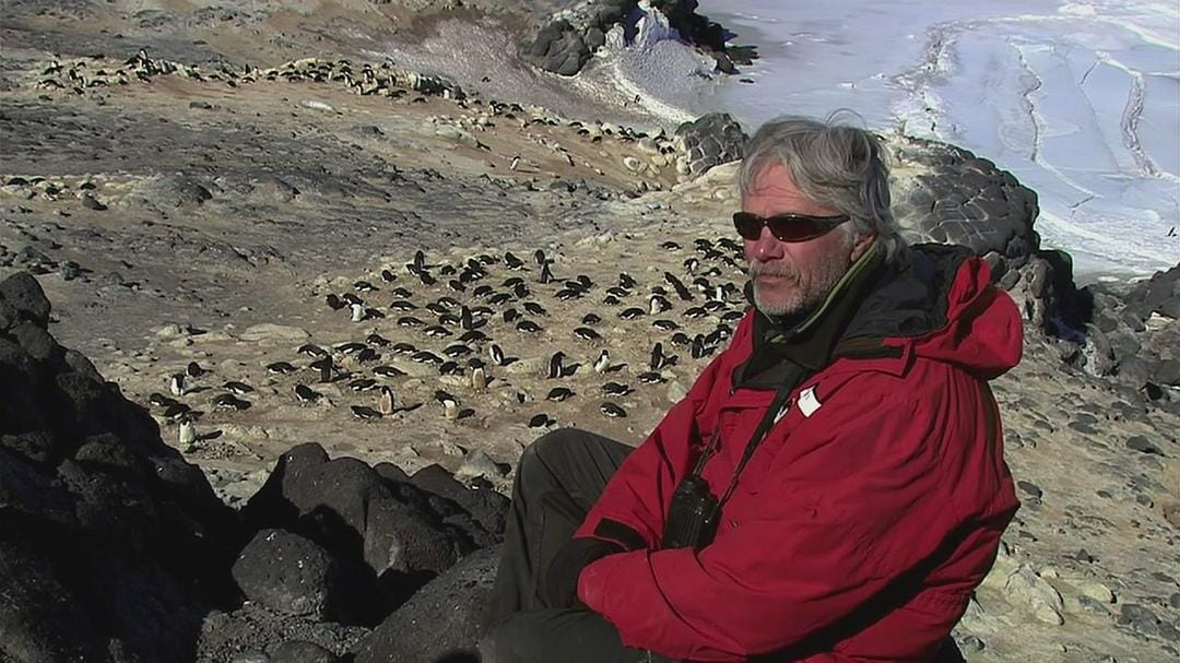 在世界尽头相遇 Encounters at the End of the World