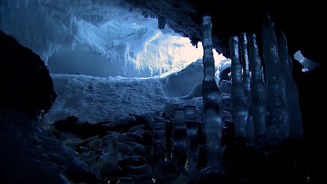 在世界尽头相遇 Encounters at the End of the World