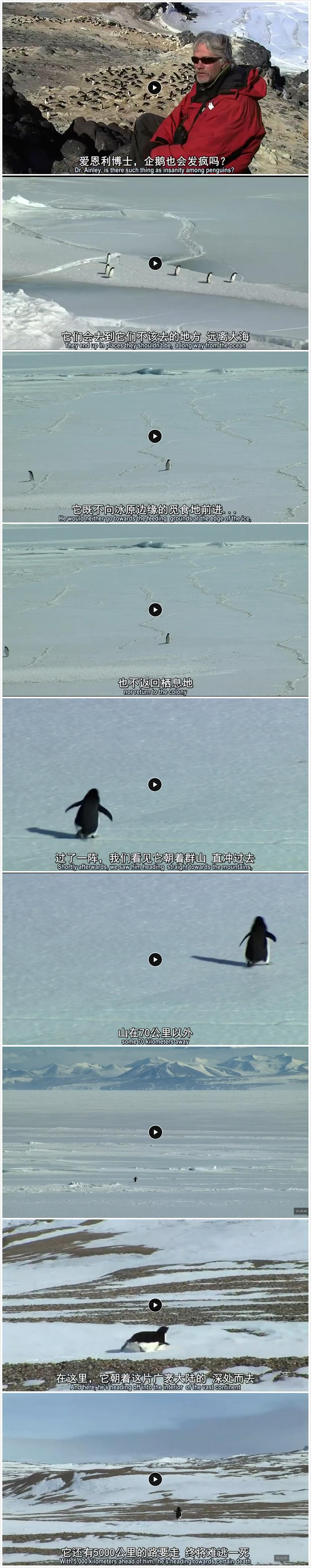 在世界尽头相遇 Encounters at the End of the World