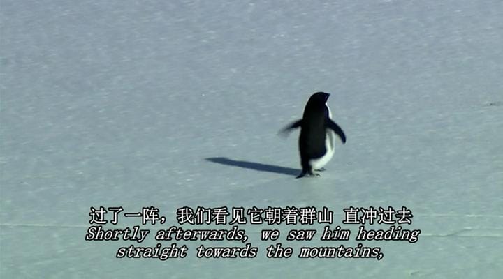 在世界尽头相遇 Encounters at the End of the World