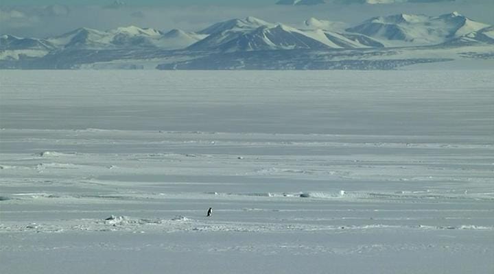 在世界尽头相遇 Encounters at the End of the World