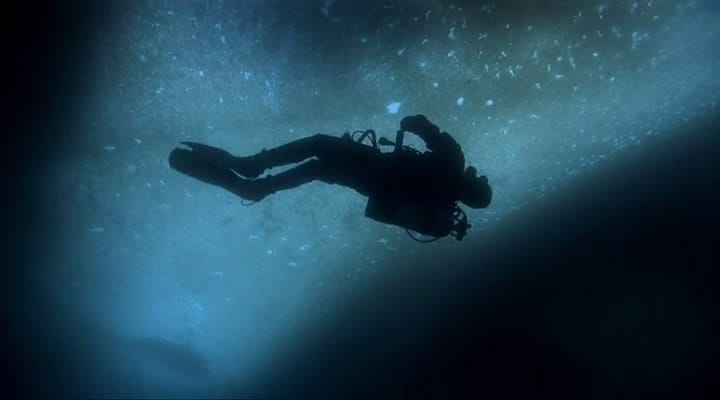 在世界尽头相遇 Encounters at the End of the World