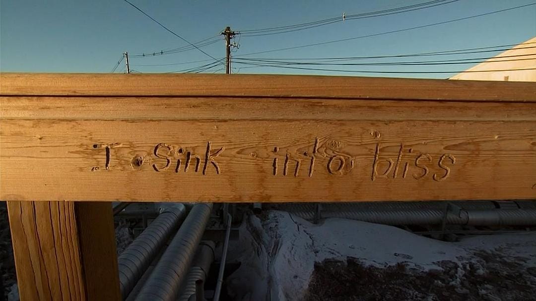 在世界尽头相遇 Encounters at the End of the World