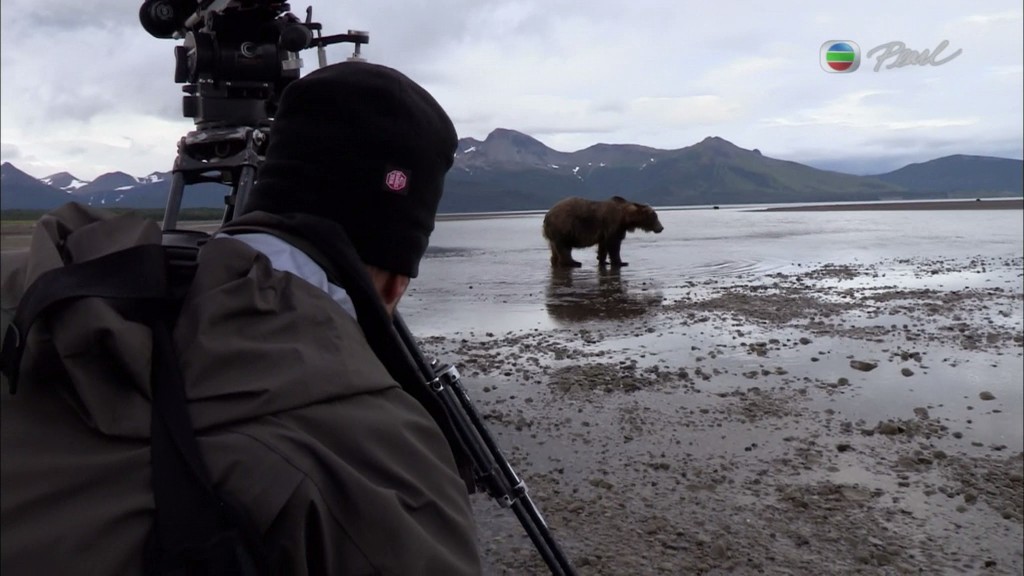 灰熊全接触 Great Bear Stakeout