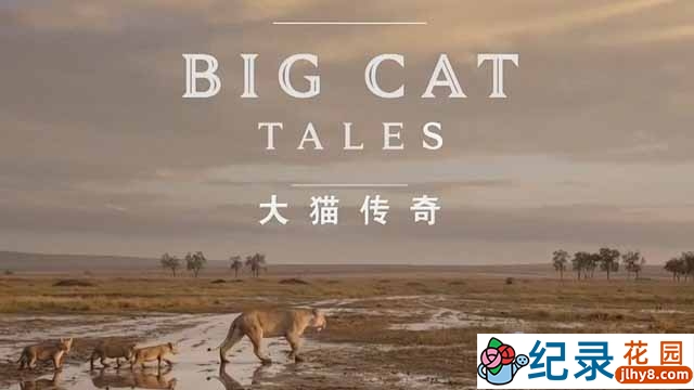 央视野生动物纪录片《大千世界 大猫传奇 Big Cat Tales》全5集 TS/蓝光高清纪录片资源百度云盘下载