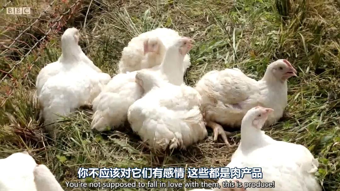 英国最佳外卖 The Best of British Takeaways