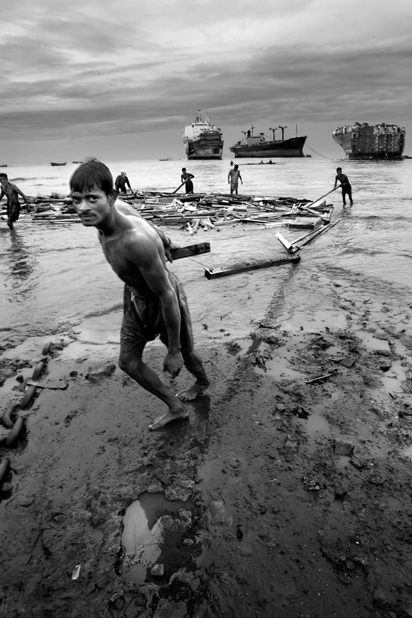 铁乌鸦 Iron Crows