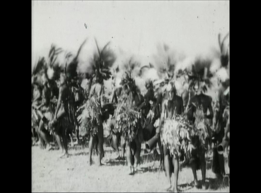 鸟的天堂 Attenborough in Paradise