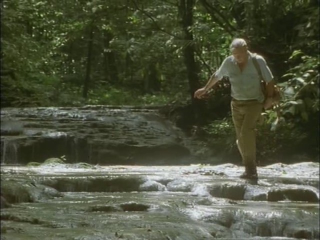 鸟的天堂 Attenborough in Paradise