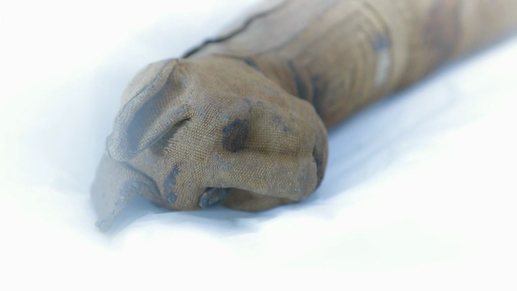 BBC地平线.七千万动物木乃伊.古埃及的暗黑秘密 Horizon: 70 Million Animal Mummies – Egypt’s Dark Secret