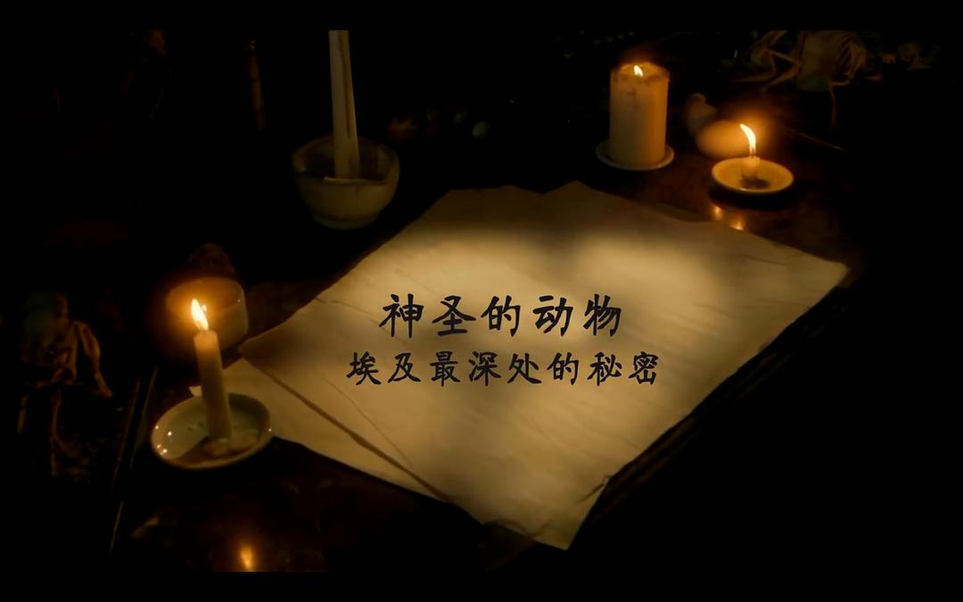 BBC地平线.七千万动物木乃伊.古埃及的暗黑秘密 Horizon: 70 Million Animal Mummies – Egypt’s Dark Secret