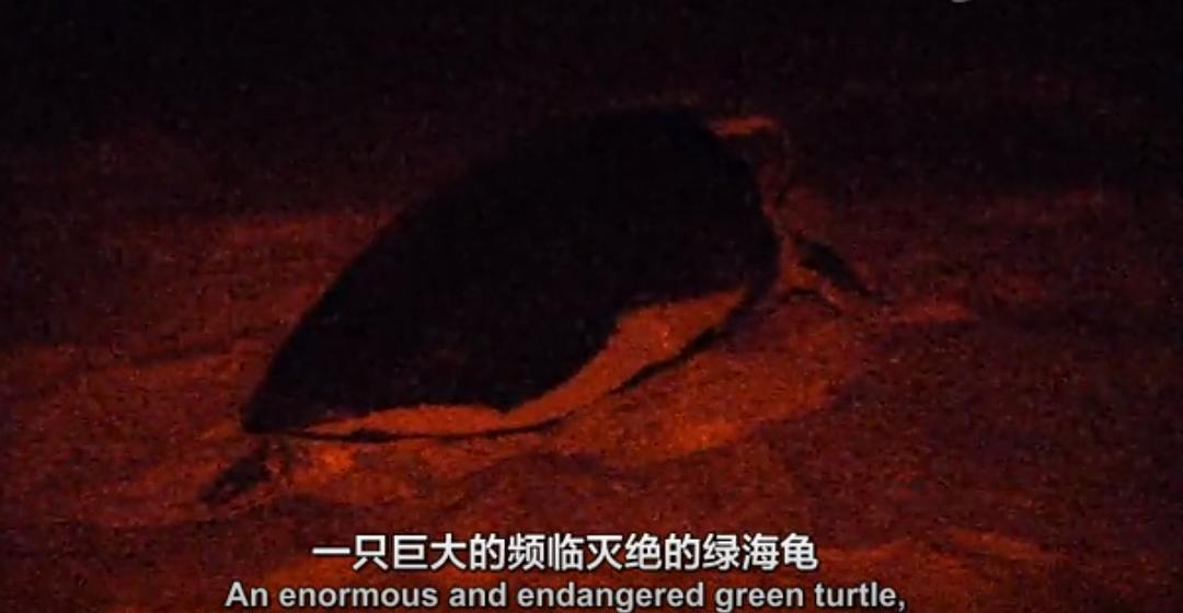 北回归线 Tropic Of Cancer