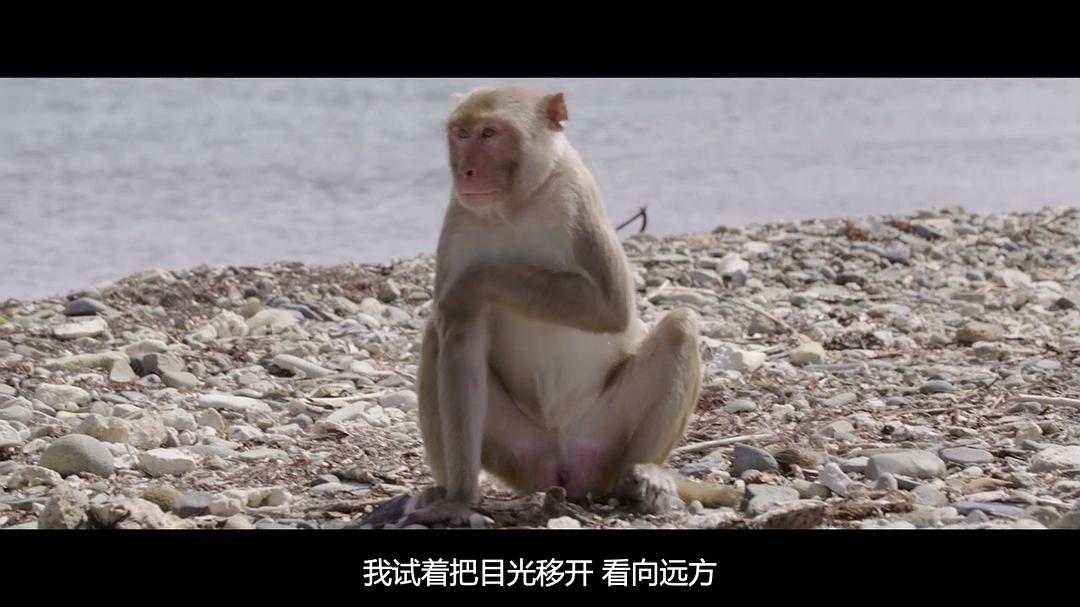 探索未知的边界 The Most Unknown